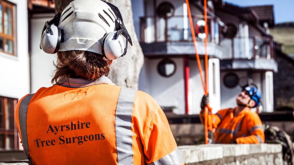 Ayrshire Tree Surgeons on a job wearing high vis jackets
