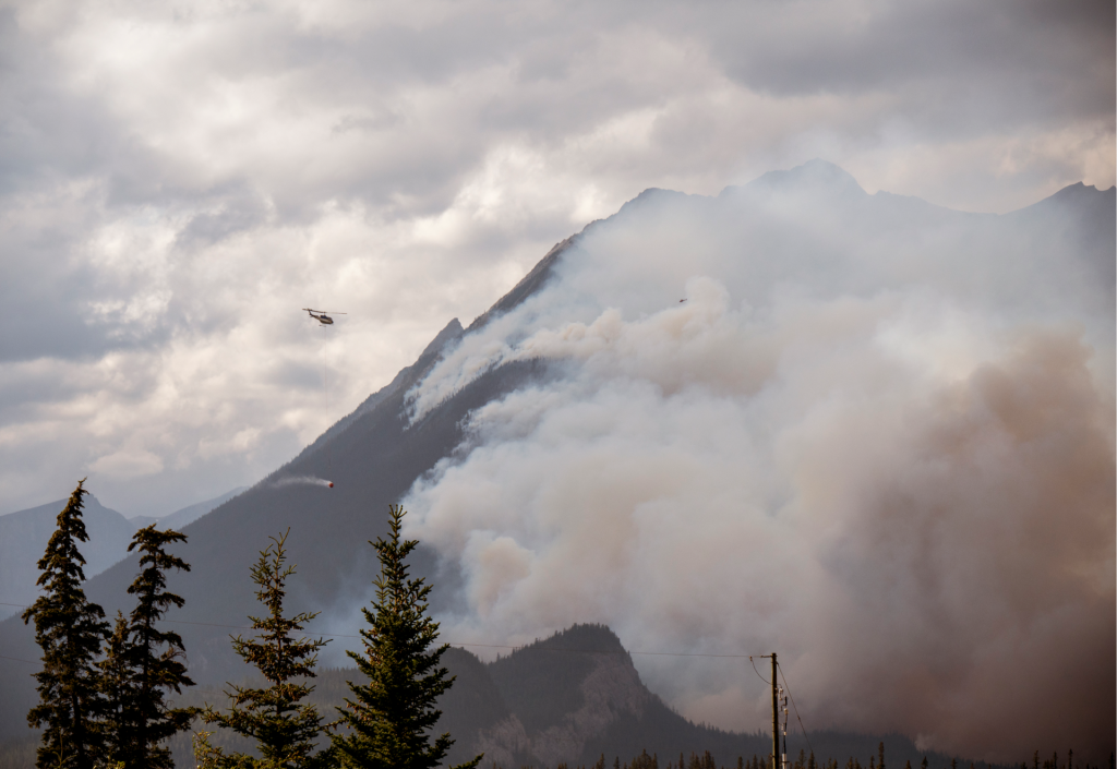 Wildfire